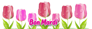 Gif animé Bon mardi tulipe